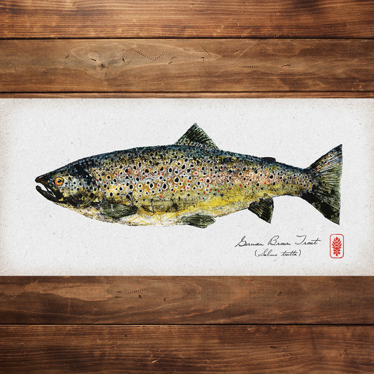 German Brown Trout