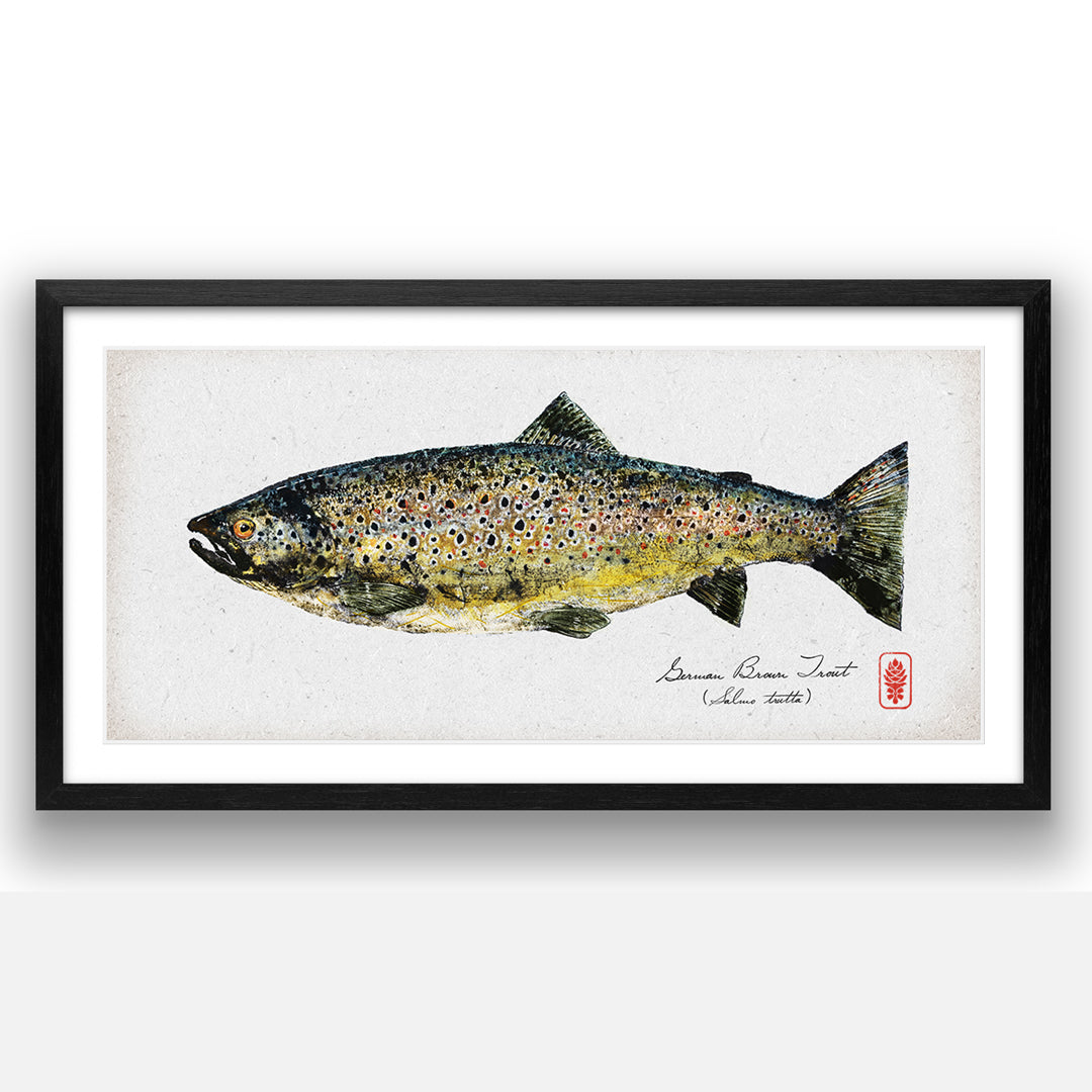 German Brown Trout