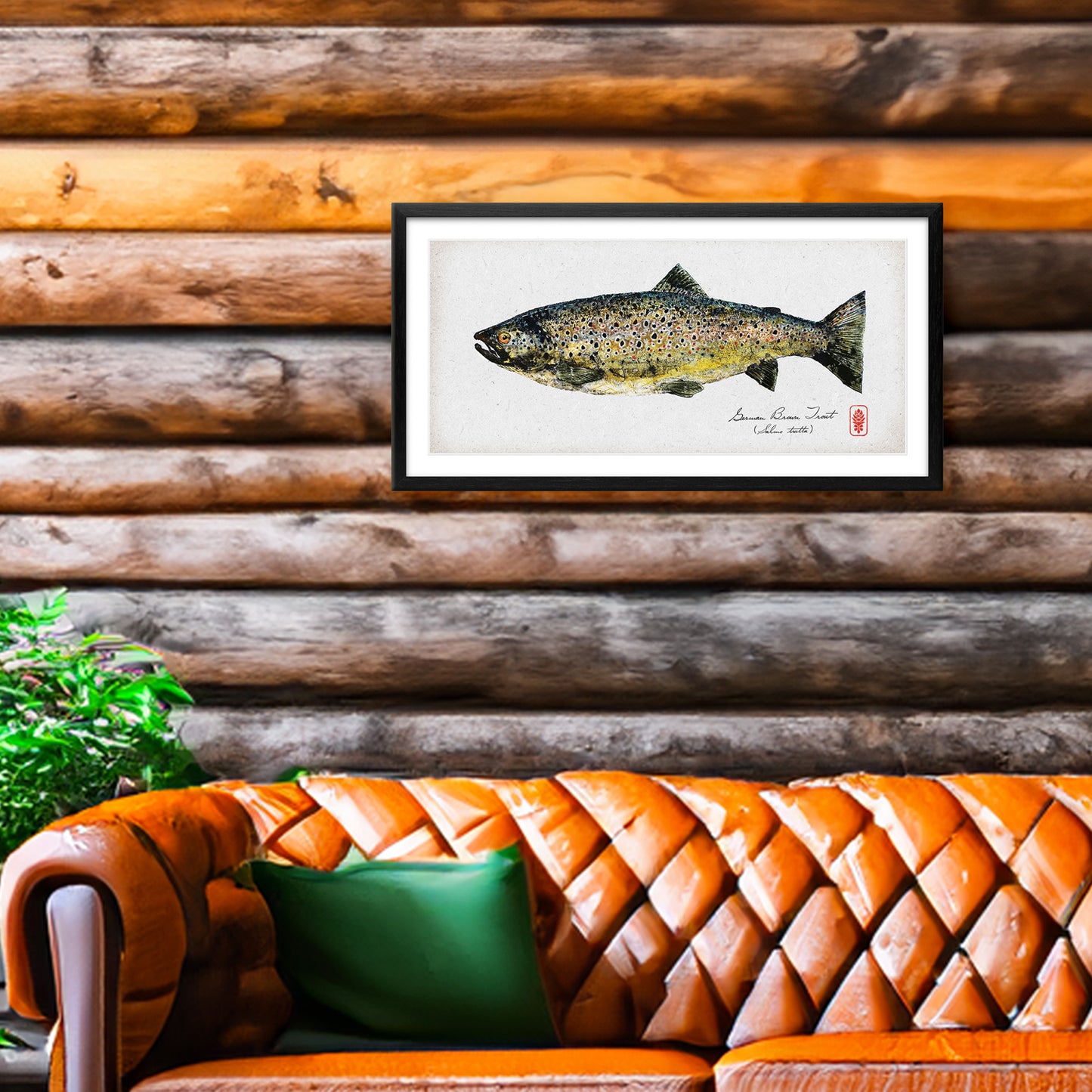 German Brown Trout