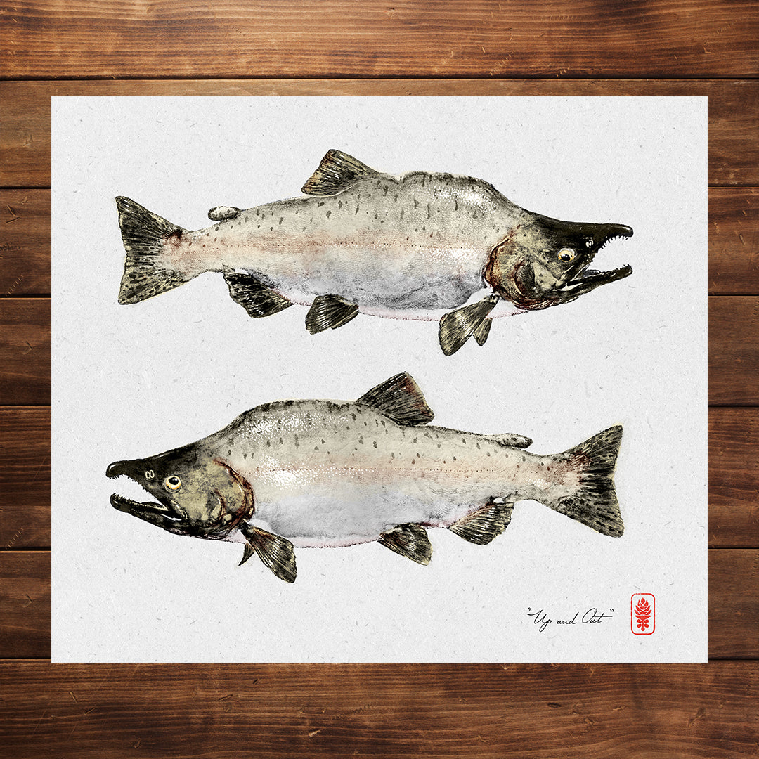 Pink Salmon