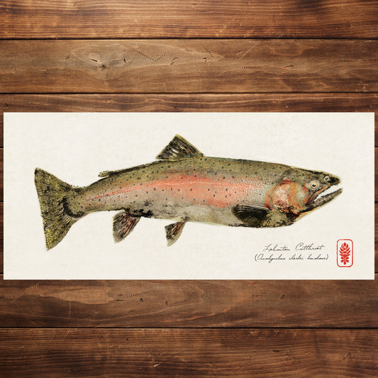 Lahontan Cutthroat