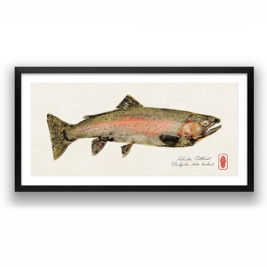 Lahontan Cutthroat