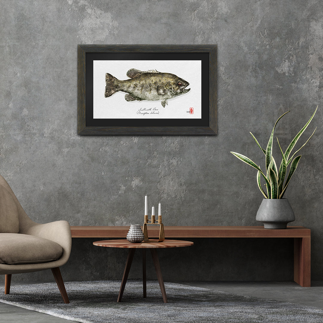 Smallmouth Bass NEW!