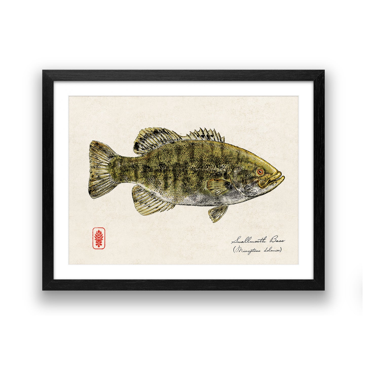 Smallmouth Bass