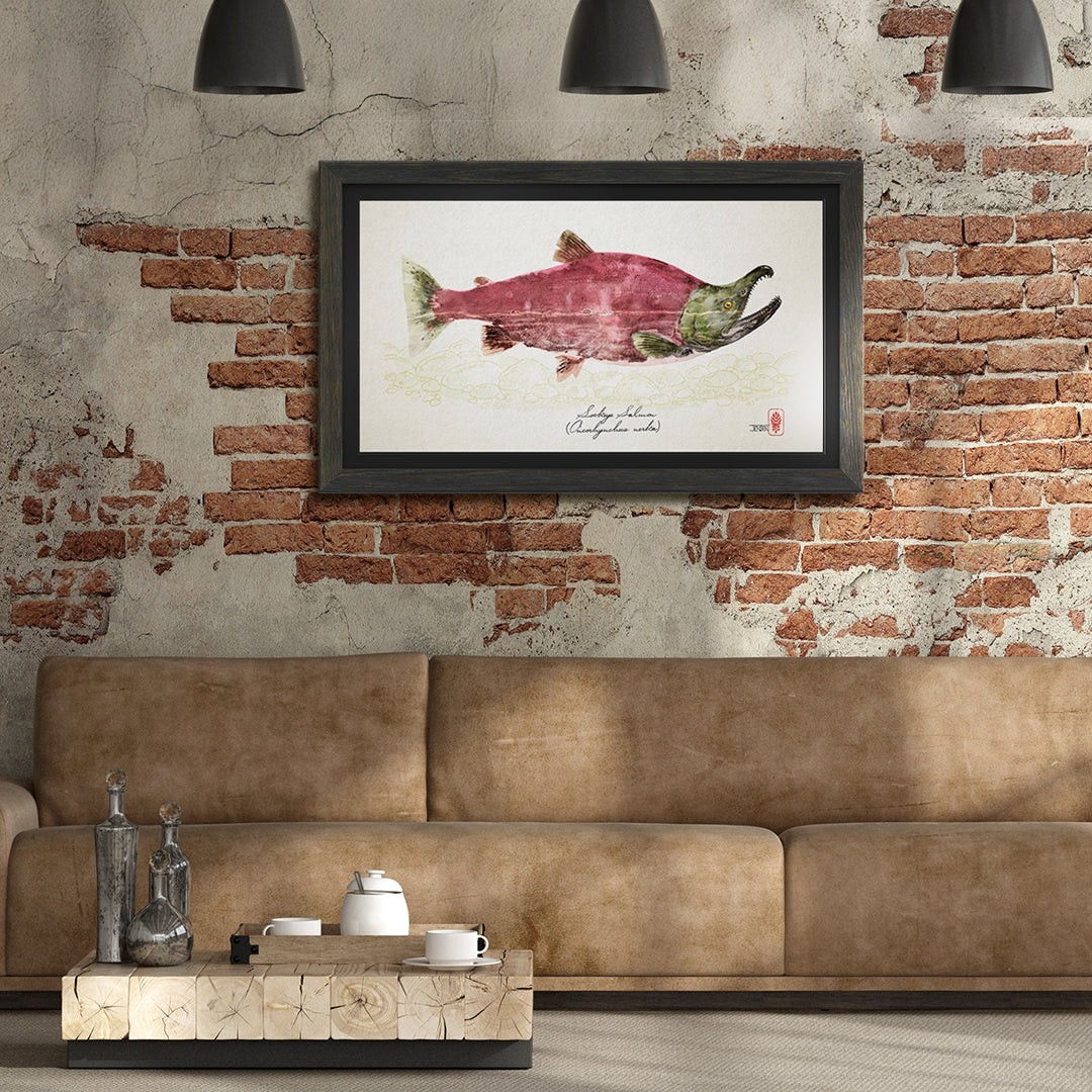 September Sockeye (Colored)