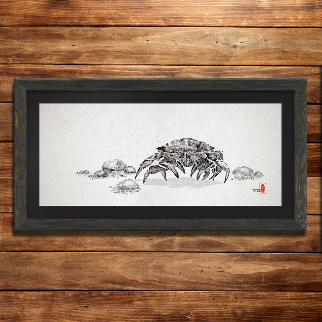 Dungeness Crab (Sideways)