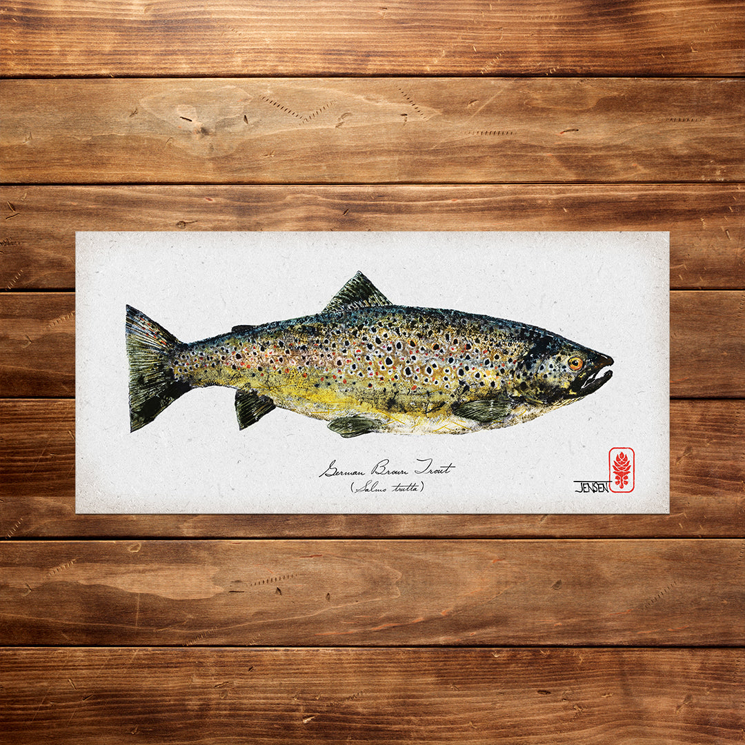 German Brown Trout