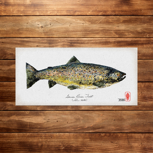 German Brown Trout