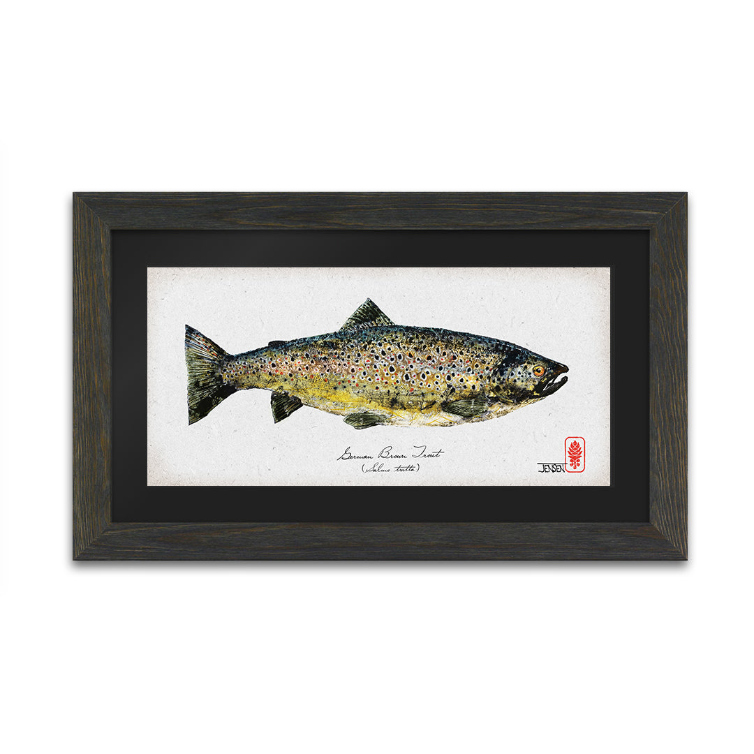 German Brown Trout