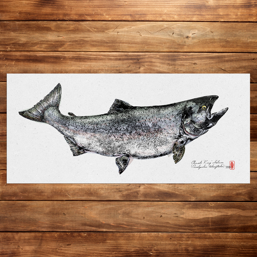 King Salmon