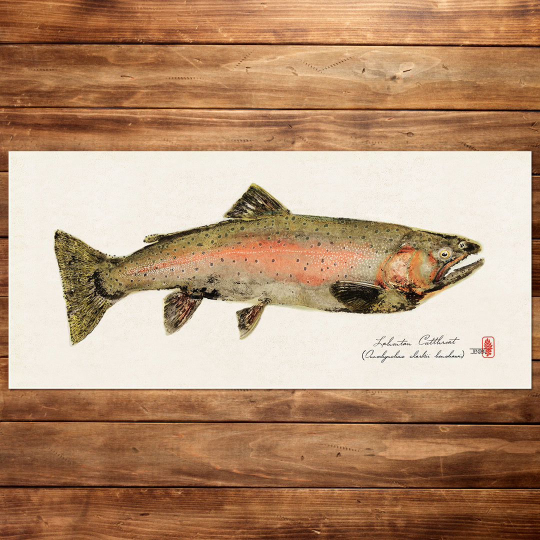 Lahontan Cutthroat