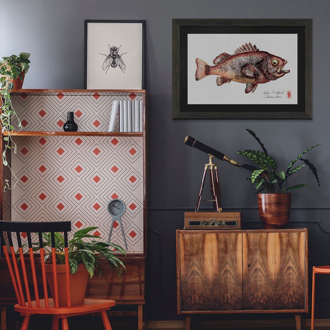 Pacific Rockfish (Original available)