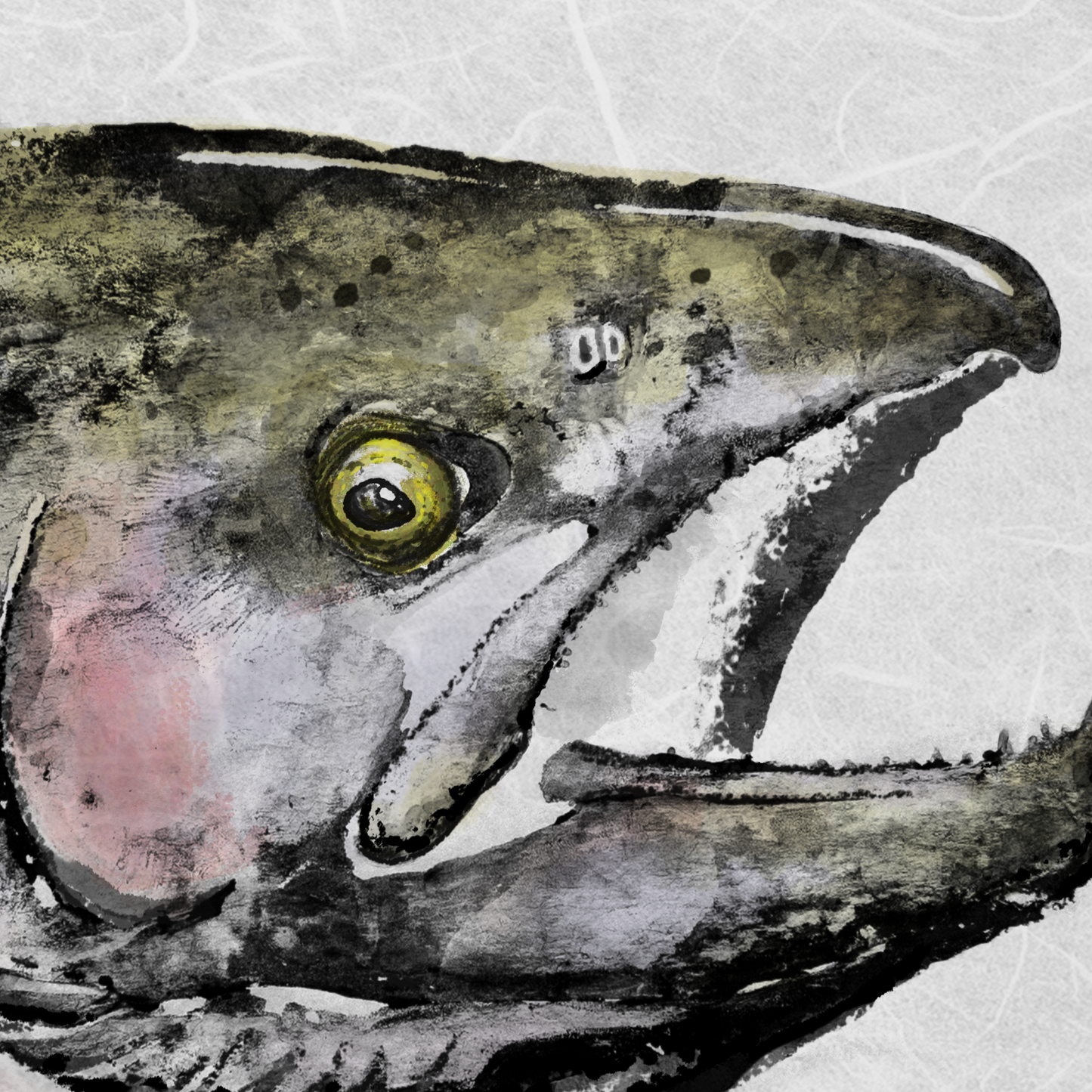 Steelhead & Crayfish